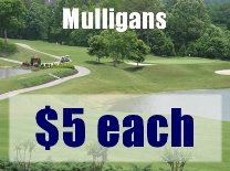 Mulligans View of Course