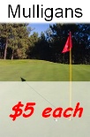 Mulligans Flag in Close