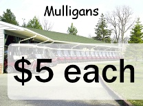 Mulligans Golf Carts