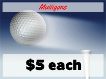 Mulligans Ball N Motion