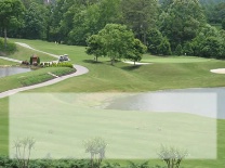 Blank Golf View of Course