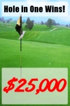 Hole in One Birdie Putt